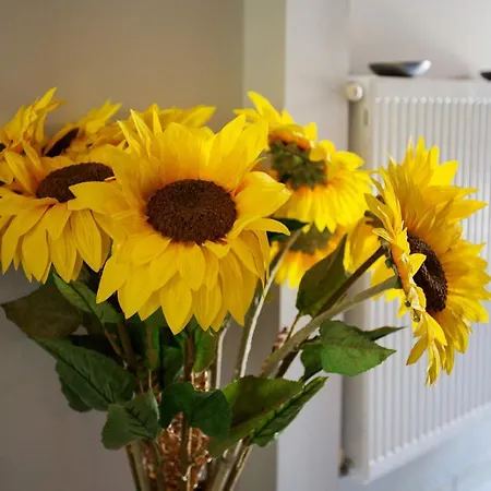 Sofia Διαμέρισμα *