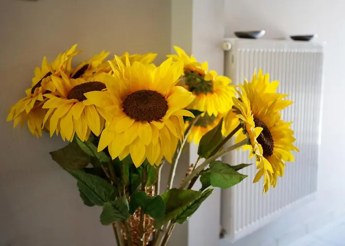 Sofia Luxury דירה *