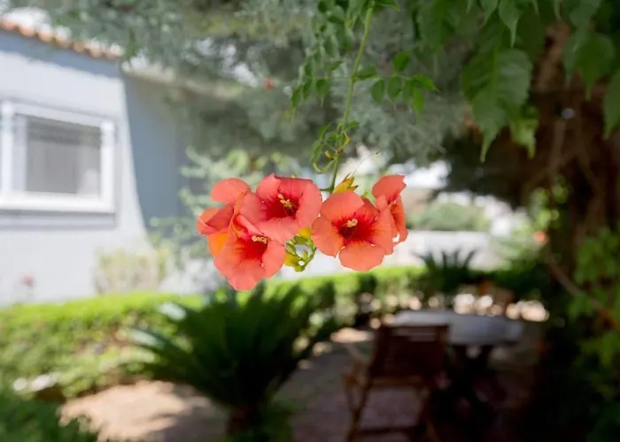 Sofia Luxury Appartamento *